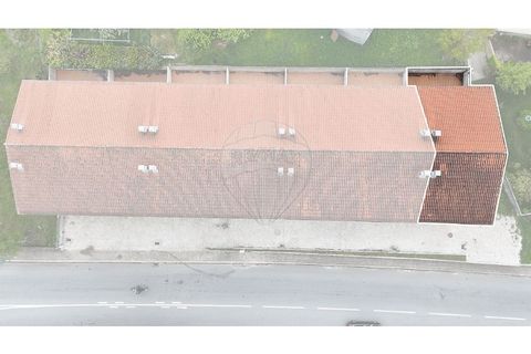 Villa i Montalegre, Vila Real, Montalegre - € 235.000 | Ref: 126381014-88 - foto 5