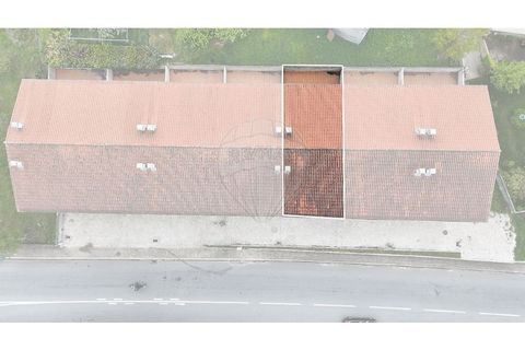 Villa i Montalegre, Vila Real, Montalegre - € 235.000 | Ref: 126381014-89 - foto 4
