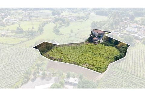 Villa a Oliveira, Braga, Oliveira - € 849.900 | Ref: 121751324-370 - foto 3