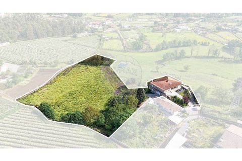 Villa a Oliveira, Braga, Oliveira - € 849.900 | Ref: 121751324-370 - foto 4