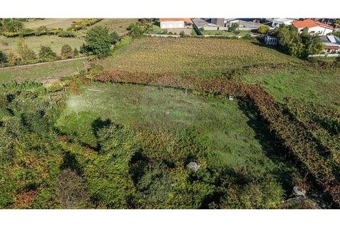 Helårsgrund i Guimaraes, Braga, Guimaraes - € 290.000 | Ref: 123331090-113 - foto 22