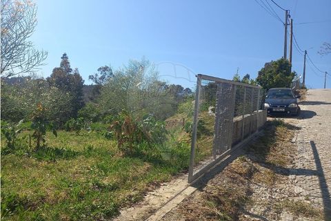 Helårsgrund i Fafe, Braga, Fafe - € 140.000 | Ref: 121751088-519 - foto 3