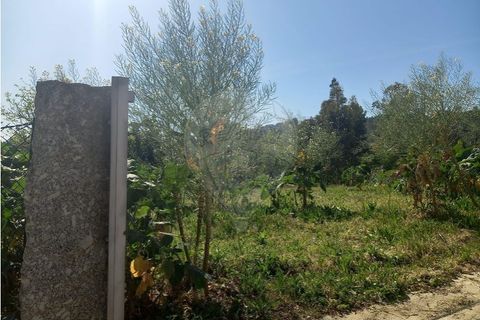 Helårsgrund i Fafe, Braga, Fafe - € 140.000 | Ref: 121751088-519 - foto 5