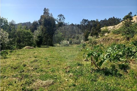 Helårsgrund i Fafe, Braga, Fafe - € 140.000 | Ref: 121751088-519 - foto 6