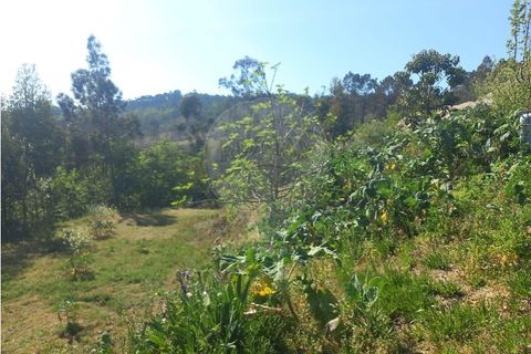 Helårsgrund i Fafe, Braga, Fafe - € 140.000 | Ref: 121751088-519 - foto 7
