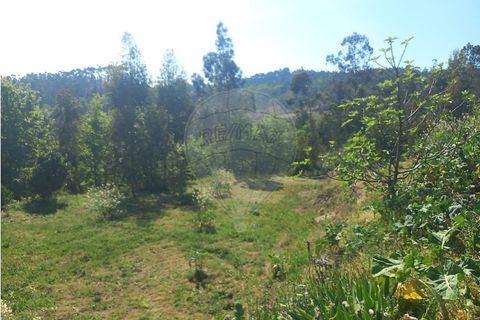 Helårsgrund i Fafe, Braga, Fafe - € 140.000 | Ref: 121751088-519 - foto 8