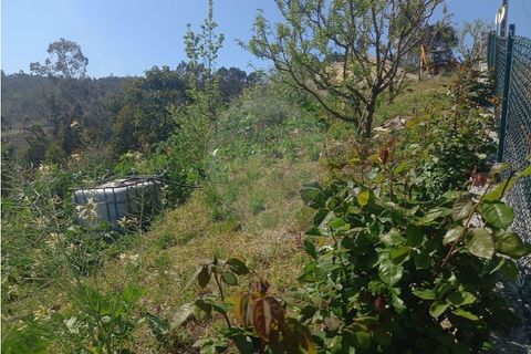 Helårsgrund i Fafe, Braga, Fafe - € 140.000 | Ref: 121751088-519 - foto 10