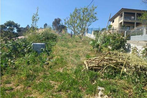 Helårsgrund i Fafe, Braga, Fafe - € 140.000 | Ref: 121751088-519 - foto 12