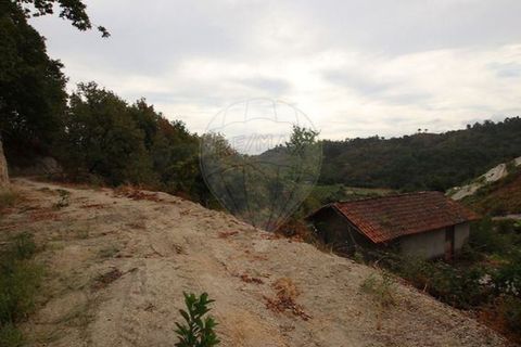 Villa em Alvite e Passos, Braga, Alvite e Passos - € 69.000 | Ref: 121751336-15 - foto 3