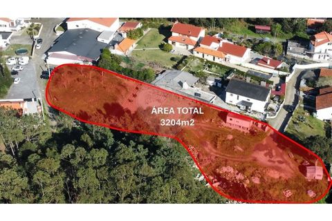 Terra em Vile, Viana do Castelo, Vile - € 124.900 | Ref: 126201017-12 - foto 1