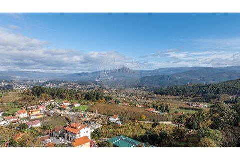 Villa i Celorico de Basto, Braga, Celorico de Basto - € 40.000 | Ref: 126221008-459 - foto 2