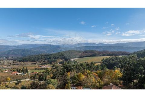 Villa i Celorico de Basto, Braga, Celorico de Basto - € 40.000 | Ref: 126221008-459 - foto 3