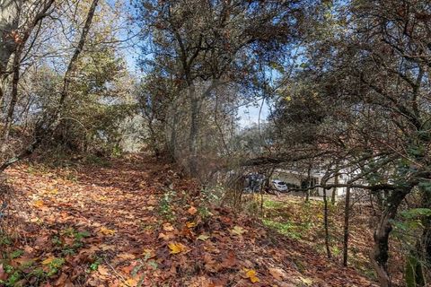 Villa i Celorico de Basto, Braga, Celorico de Basto - € 40.000 | Ref: 126221008-459 - foto 4