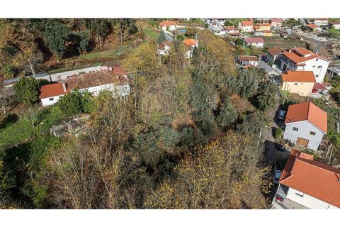 Villa i Celorico de Basto, Braga, Celorico de Basto - € 40.000 | Ref: 126221008-459 - foto 9