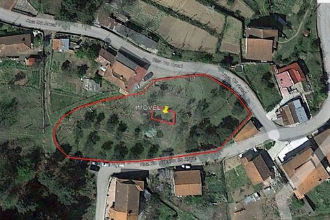 Villa i Celorico de Basto, Braga, Celorico de Basto - € 40.000 | Ref: 126221008-459 - foto 13