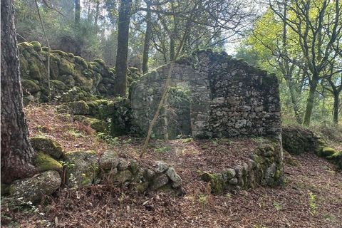 Helårsgrund i Arcos de Valdevez, Viana do Castelo, Arcos de Valdevez - € 48.000 | Ref: 126971023-18 - foto 2