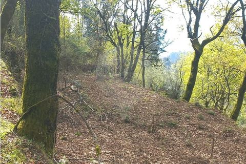 Helårsgrund i Arcos de Valdevez, Viana do Castelo, Arcos de Valdevez - € 48.000 | Ref: 126971023-18 - foto 3