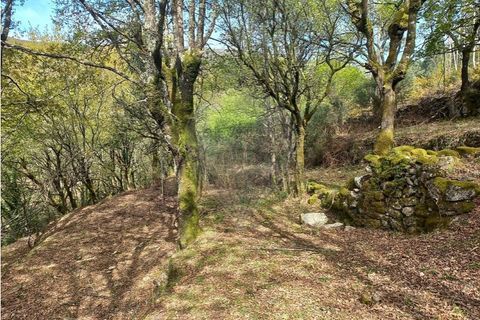 Helårsgrund i Arcos de Valdevez, Viana do Castelo, Arcos de Valdevez - € 48.000 | Ref: 126971023-18 - foto 5