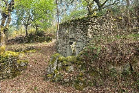 Helårsgrund i Arcos de Valdevez, Viana do Castelo, Arcos de Valdevez - € 48.000 | Ref: 126971023-18 - foto 6