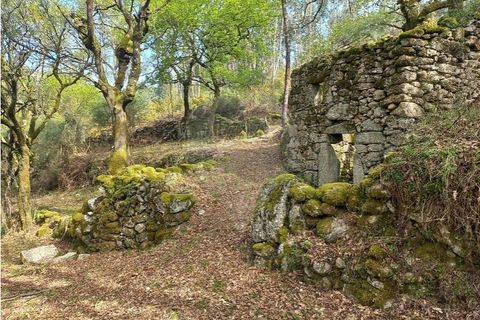 Helårsgrund i Arcos de Valdevez, Viana do Castelo, Arcos de Valdevez - € 48.000 | Ref: 126971023-18 - foto 7