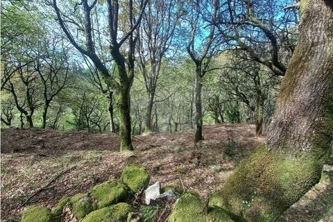 Helårsgrund i Arcos de Valdevez, Viana do Castelo, Arcos de Valdevez - € 48.000 | Ref: 126971023-18 - foto 8