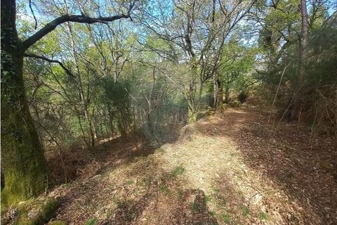 Helårsgrund i Arcos de Valdevez, Viana do Castelo, Arcos de Valdevez - € 48.000 | Ref: 126971023-18 - foto 10
