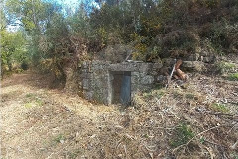 Helårsgrund i Arcos de Valdevez, Viana do Castelo, Arcos de Valdevez - € 48.000 | Ref: 126971023-18 - foto 12