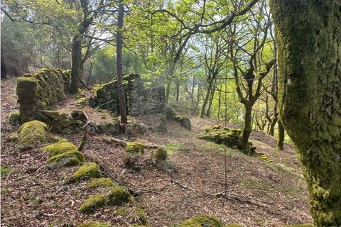 Helårsgrund i Arcos de Valdevez, Viana do Castelo, Arcos de Valdevez - € 48.000 | Ref: 126971023-18 - foto 13