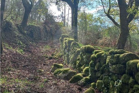Helårsgrund i Arcos de Valdevez, Viana do Castelo, Arcos de Valdevez - € 48.000 | Ref: 126971023-18 - foto 15