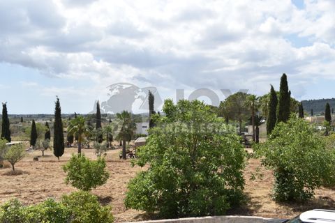 Erhvervsejendom i Specchia, Lecce, Specchia - € 25.000 | Ref: 19CA - foto 11