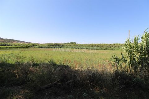 Helårsgrund i Torres Vedras, Lisbon, Torres Vedras - € 10.000 | Ref: 295260075 - foto 1