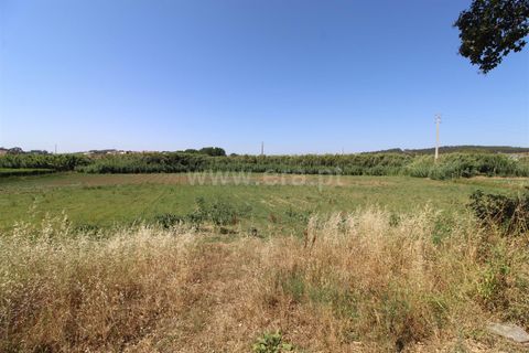 Helårsgrund i Torres Vedras, Lisbon, Torres Vedras - € 10.000 | Ref: 295260075 - foto 3