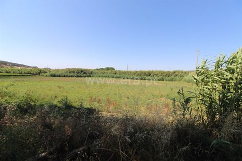 Helårsgrund i Torres Vedras, Lisbon, Torres Vedras - € 10.000 | Ref: 295260075 - foto 4