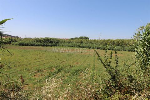 Helårsgrund i Torres Vedras, Lisbon, Torres Vedras - € 10.000 | Ref: 295260075 - foto 5