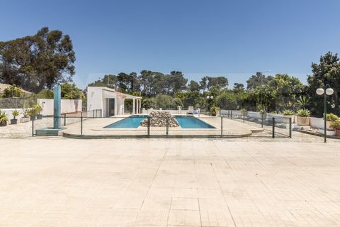 Villa i Quinta do Conde, Setubal, Quinta do Conde - € 750.000 | Ref: 313.002.023 - foto 5
