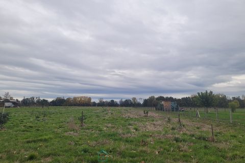 Terra a Saint-Pierre-d'Eyraud, Dordogne, Saint-Pierre-d'Eyraud - € 59.000 | Ref: 784AD577A8434777 - foto 3