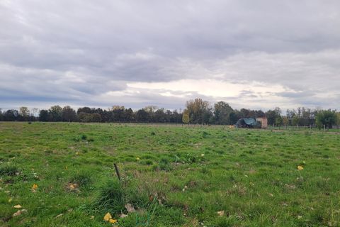 Terra a Saint-Pierre-d'Eyraud, Dordogne, Saint-Pierre-d'Eyraud - € 59.000 | Ref: 784AD577A8434777 - foto 6