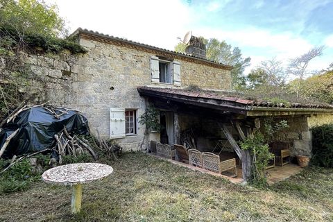 Farm hus i Dolmayrac, Lot-et-Garonne, Dolmayrac - € 274.000 | Ref: 276961831E54469E - foto 11