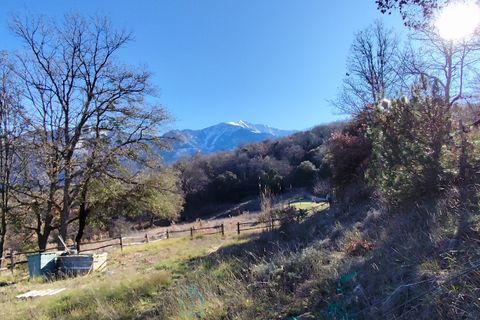 Villa i Taurinya, Pyrenees-Orientales, Taurinya - € 520.000 | Ref: E96CED4548844B70 - foto 4