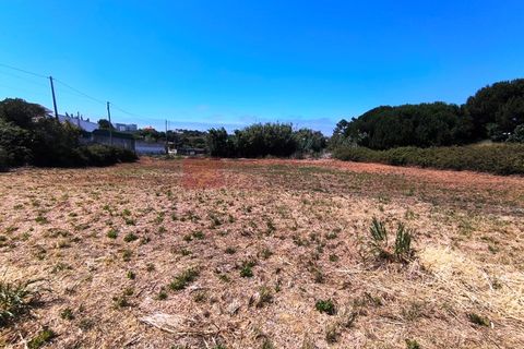Helårsgrund i Ericeira, Lisbon, Ericeira - € 490.000 | Ref: 786 - foto 5