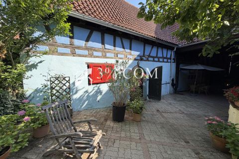 Villa i Bischwiller, Bas-Rhin, Bischwiller - € 853.800 | Ref: 264_V3480064507 - foto 13