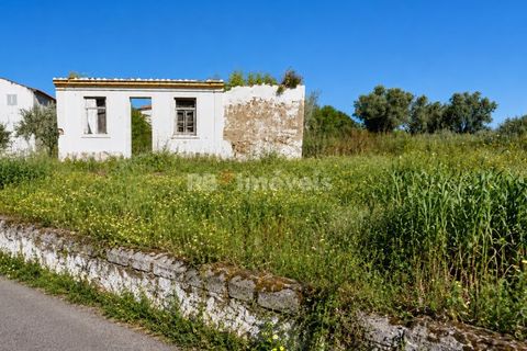 Ruinere i Mouriscas, Santarem, Mouriscas - € 40.000 | Ref: 02004-26 - foto 2