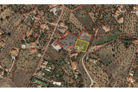 Ruinere i Mouriscas, Santarem, Mouriscas - € 40.000 | Ref: 02004-26 - foto 7