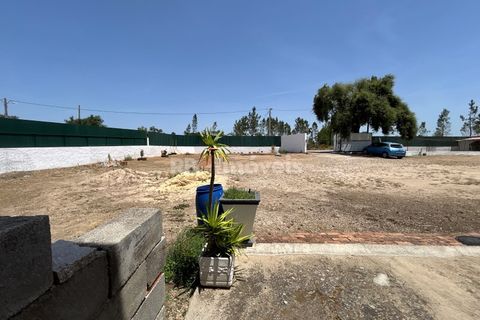 Villa i Tomar, Santarem, Tomar - € 699.500 | Ref: 02081-26 - foto 3