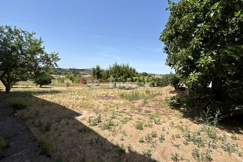 Villa i Tomar, Santarem, Tomar - € 699.500 | Ref: 02081-26 - foto 4
