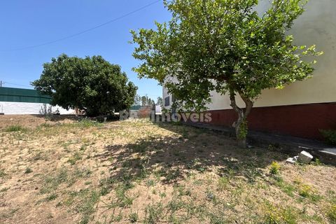 Villa i Tomar, Santarem, Tomar - € 699.500 | Ref: 02081-26 - foto 5