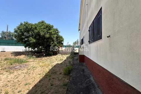 Villa i Tomar, Santarem, Tomar - € 699.500 | Ref: 02081-26 - foto 6