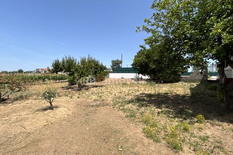 Villa i Tomar, Santarem, Tomar - € 699.500 | Ref: 02081-26 - foto 8