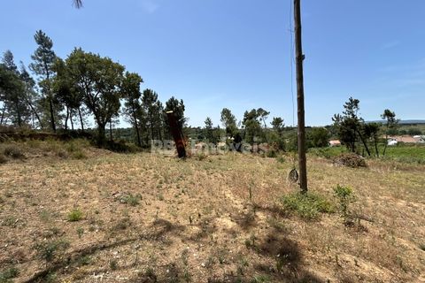 Villa i Tomar, Santarem, Tomar - € 699.500 | Ref: 02081-26 - foto 9