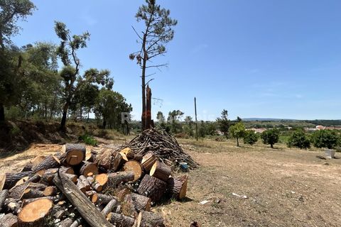 Villa i Tomar, Santarem, Tomar - € 699.500 | Ref: 02081-26 - foto 12